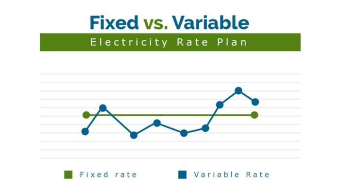 Comparing Fixed vs Variable Rate Plans: Which Offers the Cheapest Power ...